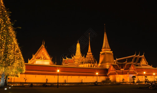 圣诞树夜景泰国金色寺庙夜景背景