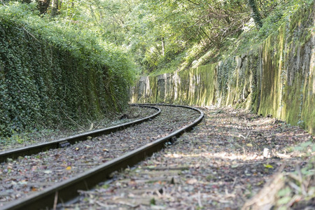 欧洲优质的空森林中铁路轨道图片