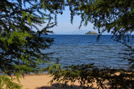 夏天田园诗般的太阳风景与图象在Baikal湖湾的一个小岛穿过树木背景图片