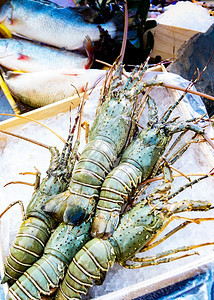 鱼冰上新鲜龙虾街边食物海鲜市场龙虾关闭生活海洋图片