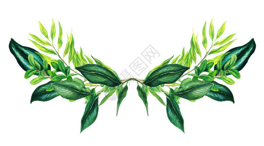 绿色对称装饰花束由新鲜绿叶和树枝组成手工抽水彩色画样板插图装饰邀请盛开图片