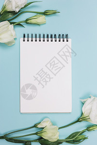 高清晰度白枯叶花空螺旋笔纸蓝背景优质照片高品白灰尘花蓝色背景白花朵解析度人们图片