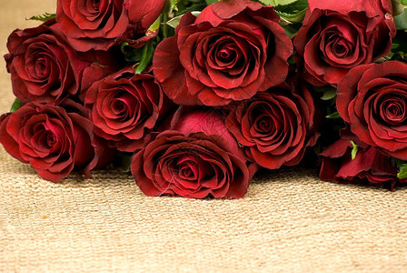 假期红玫瑰堆在海珊织物上浪漫的婚姻图片