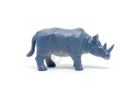 艺术的力量白底孤立犀牛模型动物玩具塑料制品颜色图片