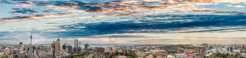 假期天空新西兰奥克市风景航空观测城市图片