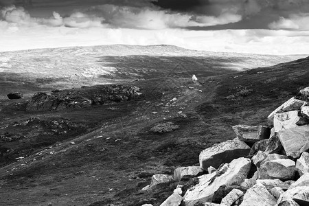 明信片挪威山背景中的黑白石头挪威山背景中的黑白石头高清旅游景观图片
