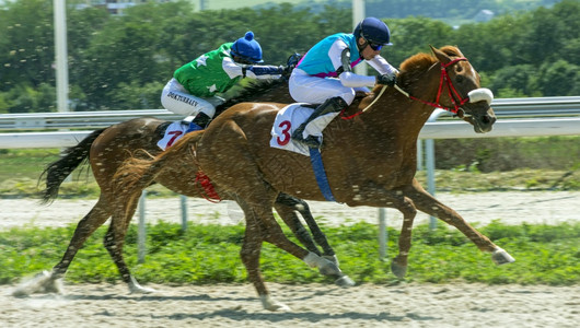 PYATIGORSK俄罗斯8月920赫索尔的Pyatigorsk河马斯特赛骑手Artem越过棕色马匹的终点线竞争纯种皮亚季戈尔斯图片