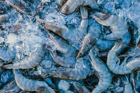 海产食品新鲜的Barramundi鱼市场身体省低音图片素材