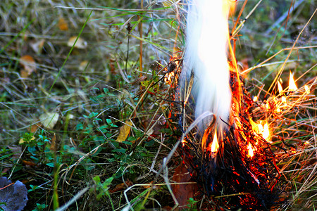 热灰色的春天以干草为密闭点在森林中燃烧干草火图片
