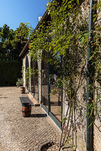 美丽的庭院和花园附近的玻璃窗和爬上植物中心GlassWindows户外旅行建筑学图片