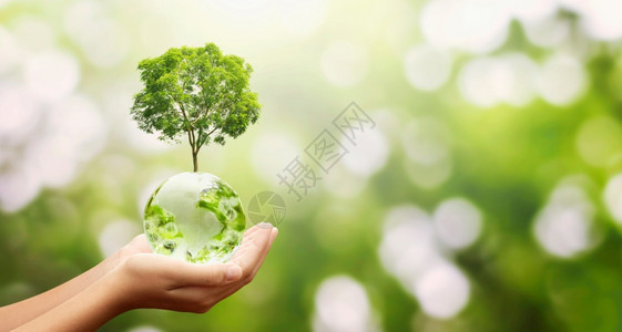 带有植树和绿色自然背景生态环境概念的玻璃球手握绿树种植和色自然背景生态环境概念人们全球的行星背景图片