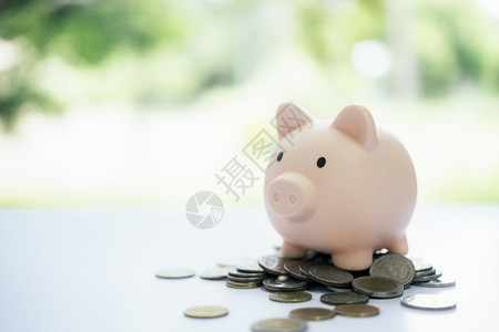 银行业帐户Finnace节省金钱和投资概念Pigy银行和硬币富有的图片