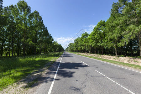 旅行沥青绿色让柏油路在森林中标有白色道路志让夏季地貌景观在欧洲森林旅程沿线的公路图片