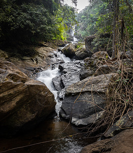 溪流丛林风景Irupu瀑布拉马吉里印度南部图片