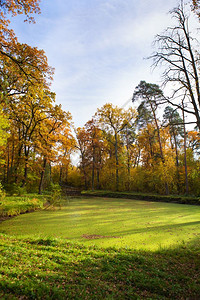 森林里的秋季风光图片