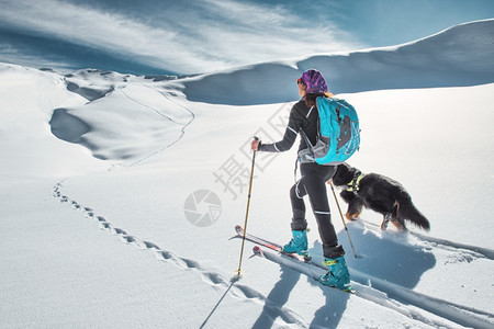 冬季滑雪的运动者与雪橇狗背景图片