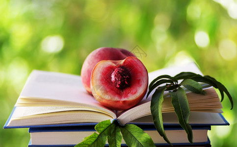 目的一半桃子在公开的书本中学校文高清图片