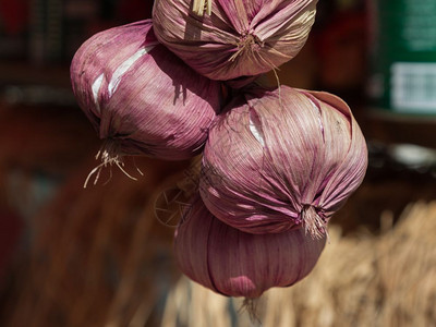 健康关闭新鲜紫色大蒜饮食新鲜的图片