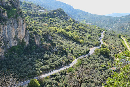 蜿蜒的山区道路图片