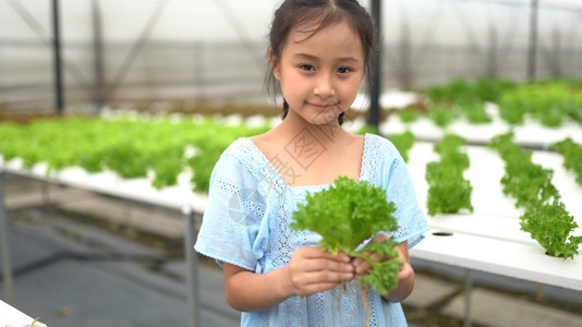 农场玩耍的小女孩图片