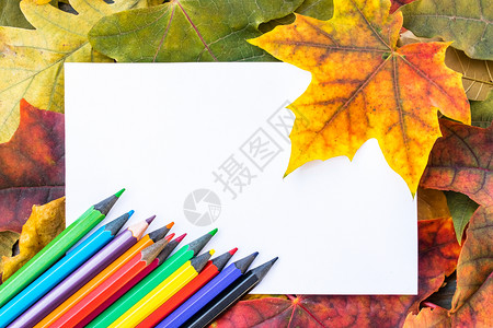 秋季枫叶和彩色铅笔图片