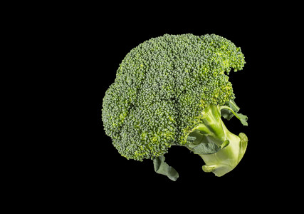 绿色芸苔属自然Brassicaoletracea它的大花头和尾巴被作为蔬菜吃掉注以蔬菜为食用图片