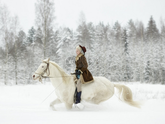 白种人迷的女骑着白马冬天风景吸引人的驰骋图片