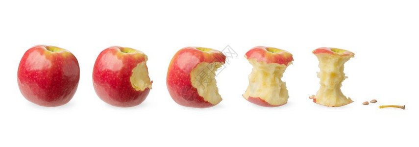 排新鲜的全苹果被轻微咬伤测试可能吃掉几乎已经白色背景隔离吃掉消费支出用和过程阶段的概念所有健康图片