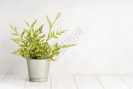 空的带绿色植物锅和白混凝土墙纹理的空白木桌背景复制空间显示产品配制木的室内图片