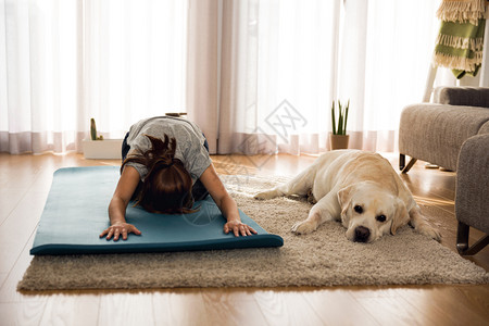 女快乐的击一名妇女与她的狗在家锻炼合身图片
