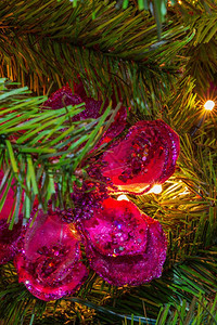 一种庆典绿色紧贴一棵圣诞树装饰在紫色主题上有挂着的花朵装饰品图片