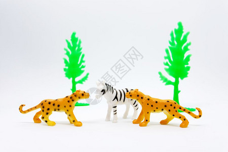 美丽的在白色背景动物玩具塑料上孤立的豹和斑马模型打猎单身的图片
