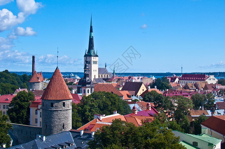塔林从图贝阿的中世纪城镇塔林Tallinn观景欧洲城市文化图片