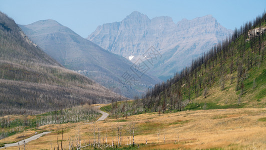 生物群落徒步旅行洛基Waterton湖水顿公园景观蓝色天空加拿大艾伯塔图片