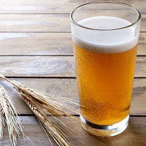 木板上杯子啤酒背景有小麦耳朵的木板上装着小麦耳朵的桌子寒冷对比图片