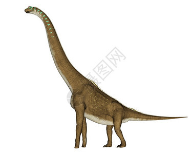 古老的史前以白色背景与世隔绝的法拉菲坦恐龙3D形成法拉菲坦恐龙3D长颈鹿图片