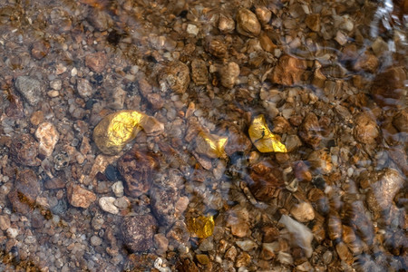 闪亮的平移来源在有天然水的矿井中发现纯金矿石图片