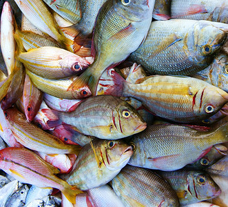 银盘子股票在越南露天市场展示新鲜的海食品鱼是营养物富有的欧米茄3健康饮食通常在沿海亚洲地区图片