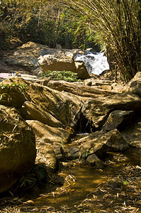 植被热带风景清迈附近梅萨瀑布的一部分图片