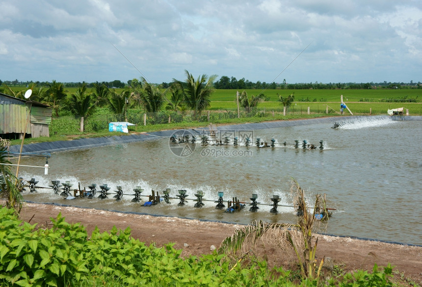 为了暴跌池塘越南湄公河三角洲的云天下虾孵化池发动机旋转在越南农村之间为虾湖和水制造氧2图片