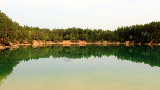 在森林中画像湖美丽的夏日风景林中画相湖在森旅行画报荒野图片