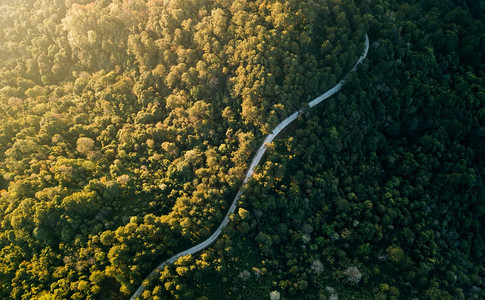 景观穿过绿色荒原和山丘的农村公路最顶端景色曲线目的地图片