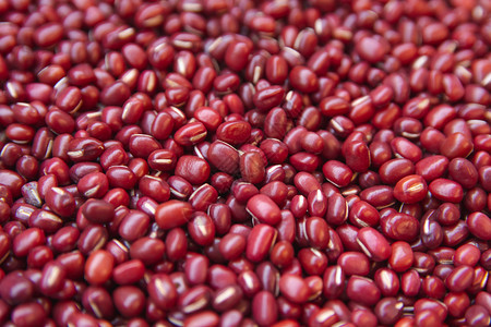 干燥肾豆红背景健康农业图片
