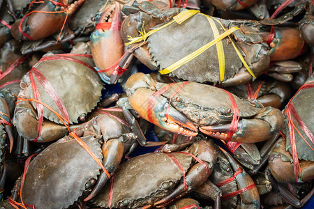 海鲜卖准备在街头食品市场销售的新鲜泥蟹巨型冲洗MUDCRAB锡拉沙锯齿状图片