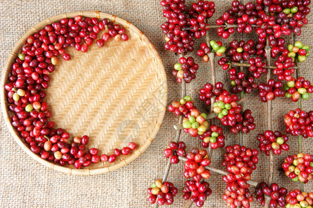 越南的竹子红色咖啡豆越南农产品竹篮中的咖啡豆麻布背景的竹篮子以鲜熟成果莓为艳色彩的惊人形状红色图片