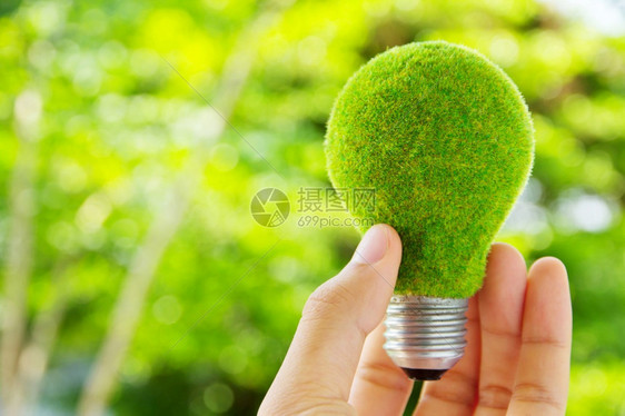 解决方案手持生态灯泡能源概念力量保持图片