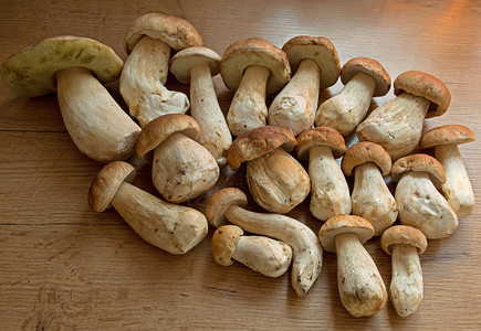美味素食主义者9月波兰自然清晨日光下一个老的木制厨房桌子上的几块新收获软木布利特斯菜饼9月牛肝菌图片