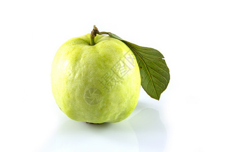 生的水果白色背景上的新鲜guava热带图片