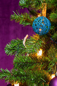 圣诞树以紫色主题装饰有突出的蓝色球和蜡烛灯光帕利卡拉斯家十二月图片