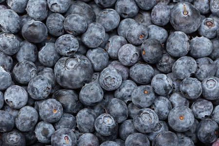 新鲜蓝莓背景的青柳栽培成熟茶点图片